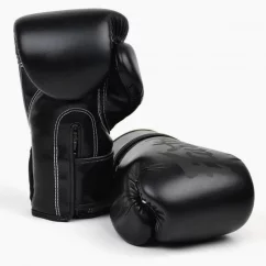 Boxing gloves Fairtex BGV14 - Nero