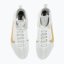 Ghete de box Nike Machomai 3 SE – alb/auriu