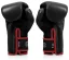 Boxing gloves Fairtex BGV14 - black - Weight of gloves: 12oz