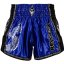 Muay Thai Pantaloni scurți REVGEAR Legends Valhalla - negru/albastru