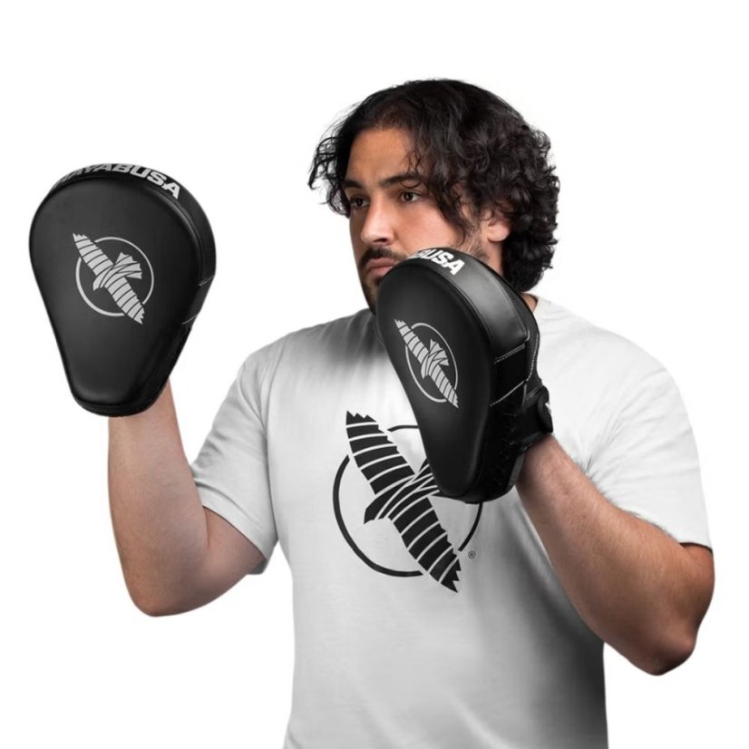 Hayabusa PTS3 Focus Mitts Boxpratzen