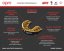 Opro Gold UFC Senior mouth guard