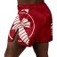 Hayabusa Icon Fight Mid Length Shorts - red