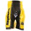 Muay Thai Pantaloni scurți REVGEAR Legends Valhalla