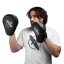 Hayabusa PTS3 Focus Mitts Boxpratzen
