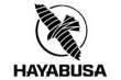 HAYBUSA
