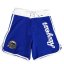 MMA shorts REVGEAR BJJ Board - blue